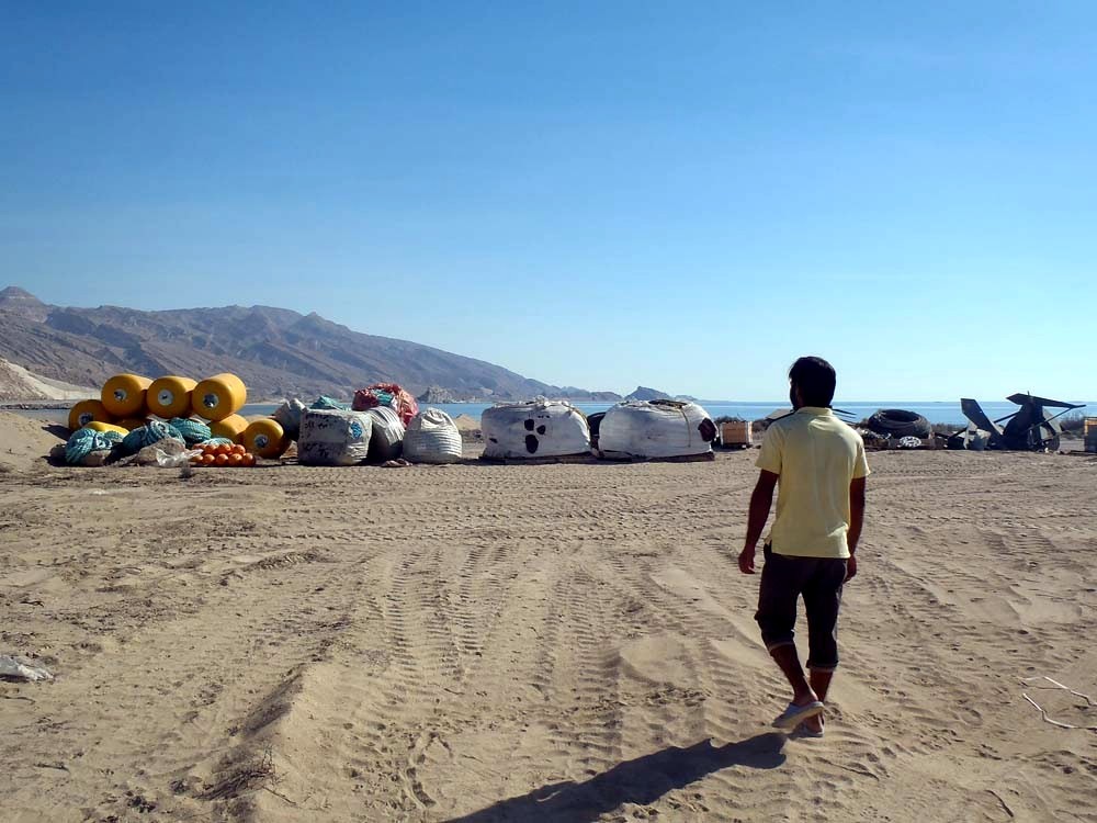 SINAPS Consult, business development in Iran