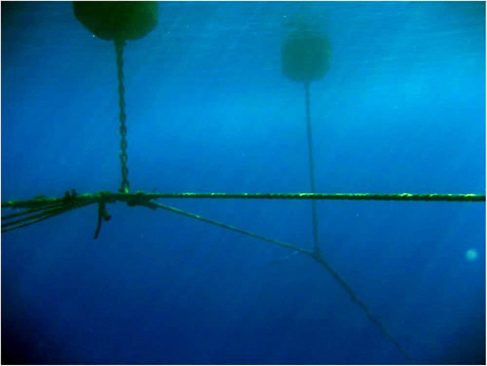 Five key points for an optimal risk assessment of your production structure