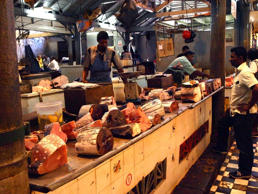 Market prospects for fish.