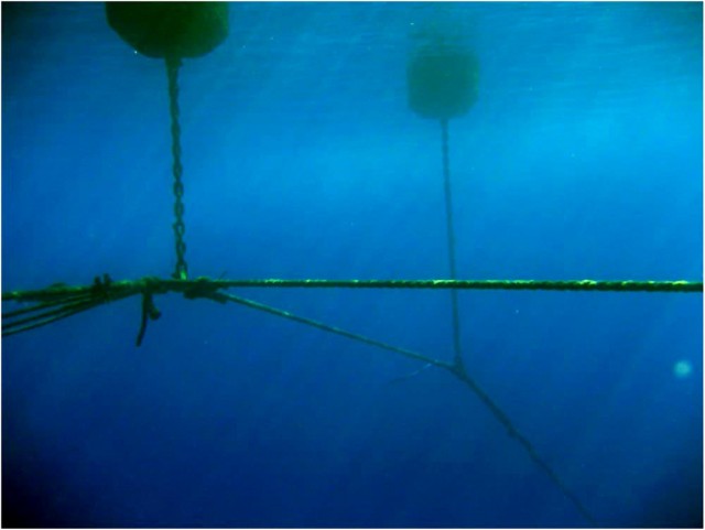 Five key points for an optimal risk assessment of your production structure