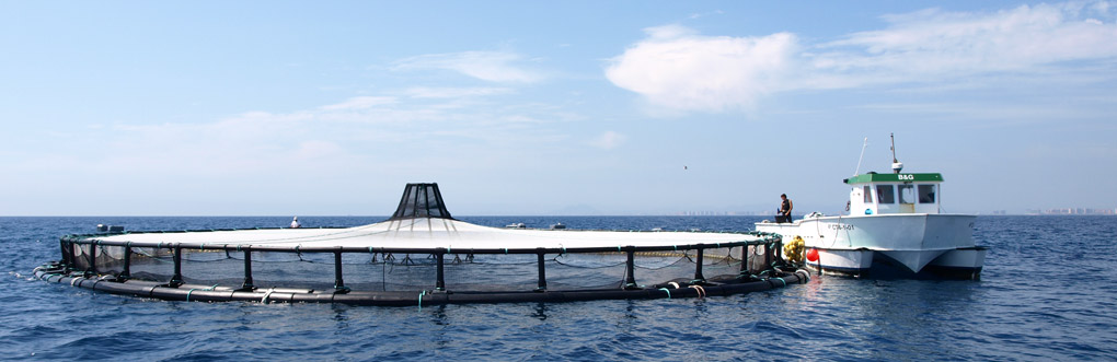 Circular cage in polyethylene and catamaran