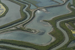 System of pond in Ré island, used for shellfish farming
