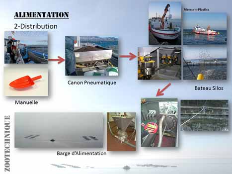 Aquaculture course: feeding technologies evolution.