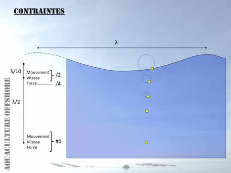 Aquaculture course: Effect of immersion on forces reduction