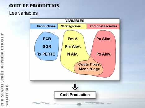 Aquaculture course: The variables considered for production cost parametrization.