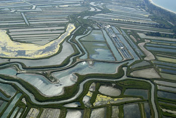 An aerial view of CULTIMAR tidal swamp with his network of canal and pond.
